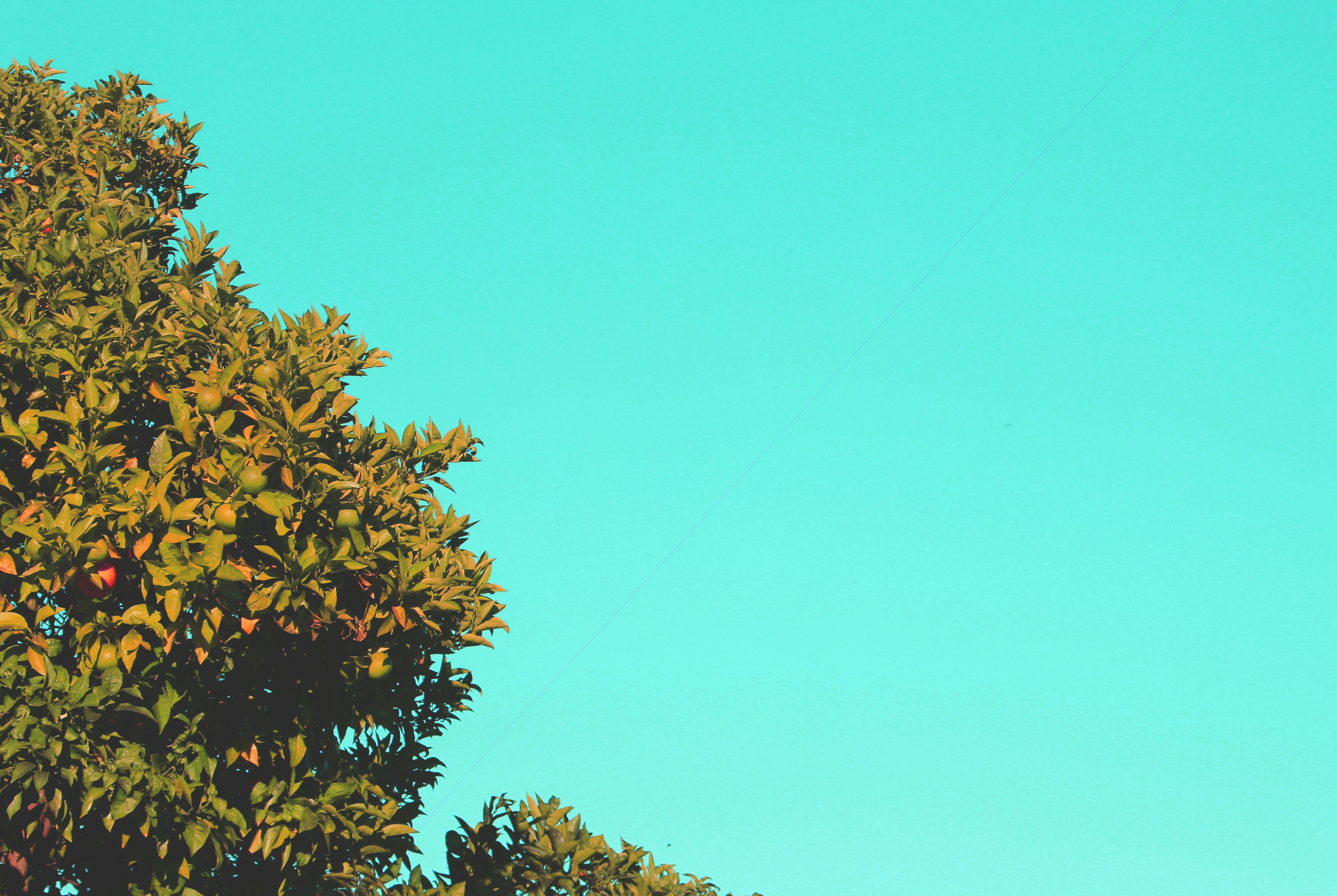 Customer Support ETL Pipeline